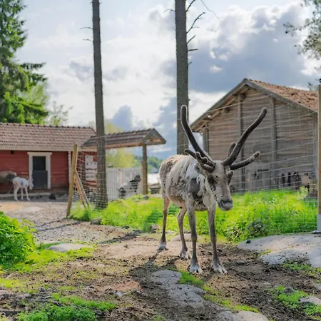 Poro-piha Reindeer Yard *