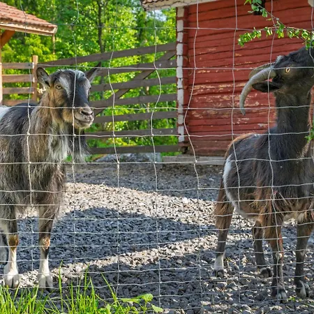 Poro-piha Reindeer Yard *