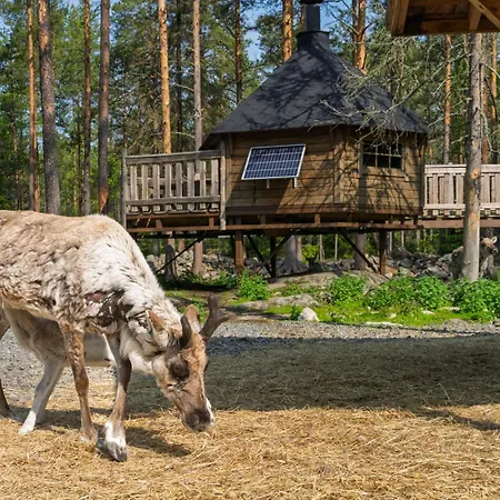 Poro-piha Reindeer Yard Kokkola (Karleby)