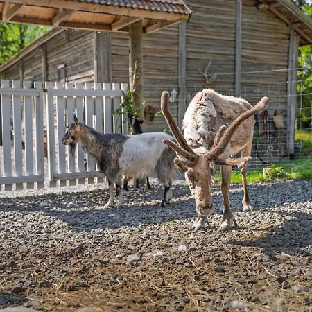 Διαμέρισμα Poro-piha Reindeer Yard Kokkola (Karleby)